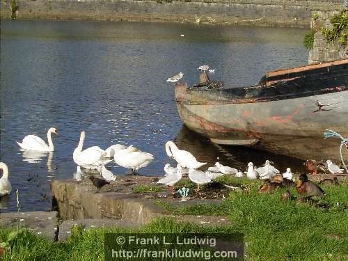 At the Quays